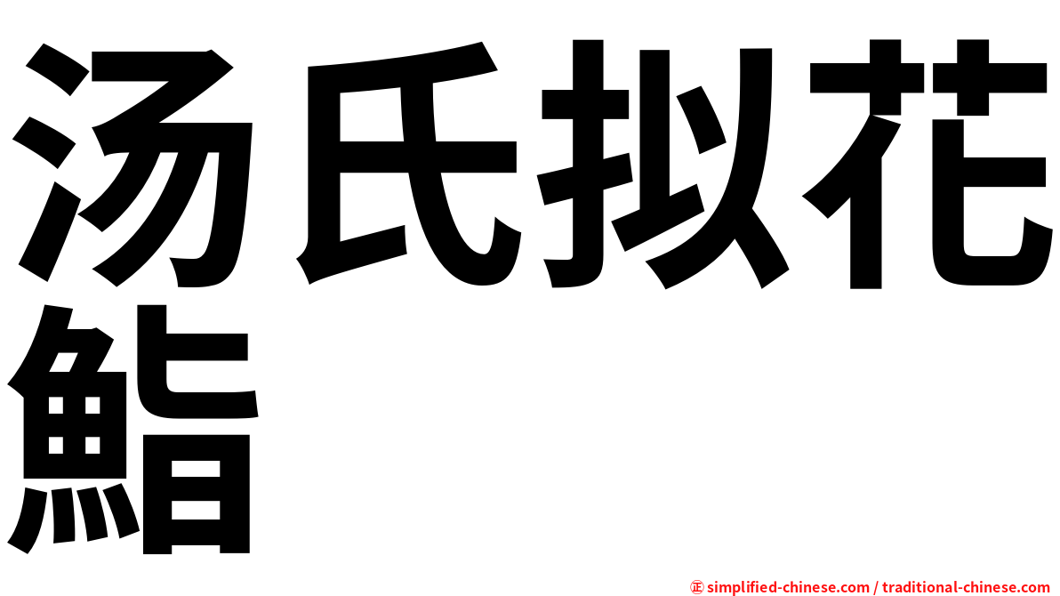 汤氏拟花鮨