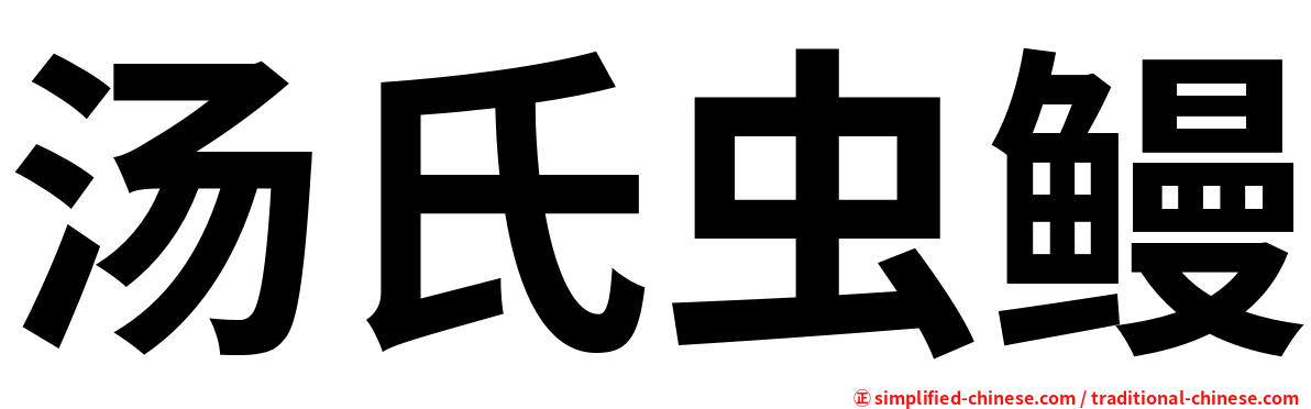 汤氏虫鳗