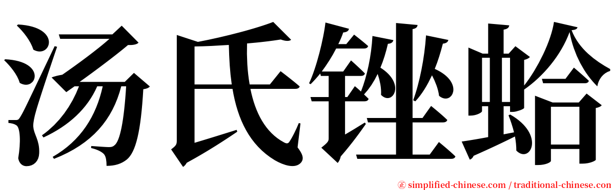 汤氏锉蛤 serif font