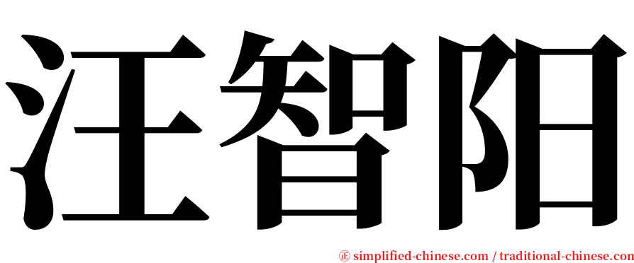 汪智阳 serif font