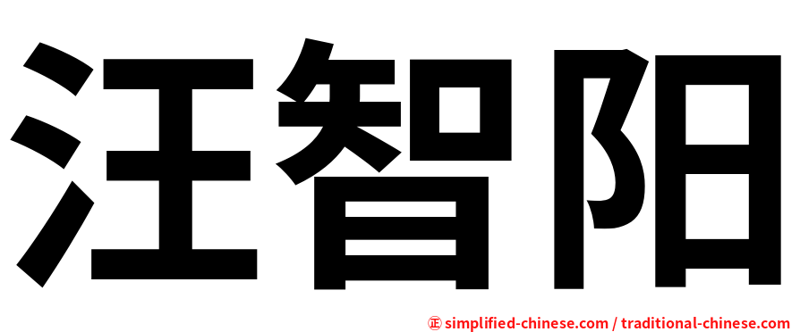 汪智阳