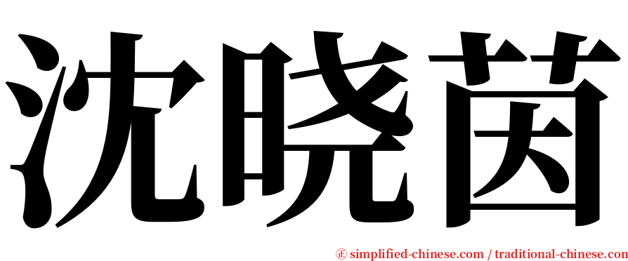 沈晓茵 serif font