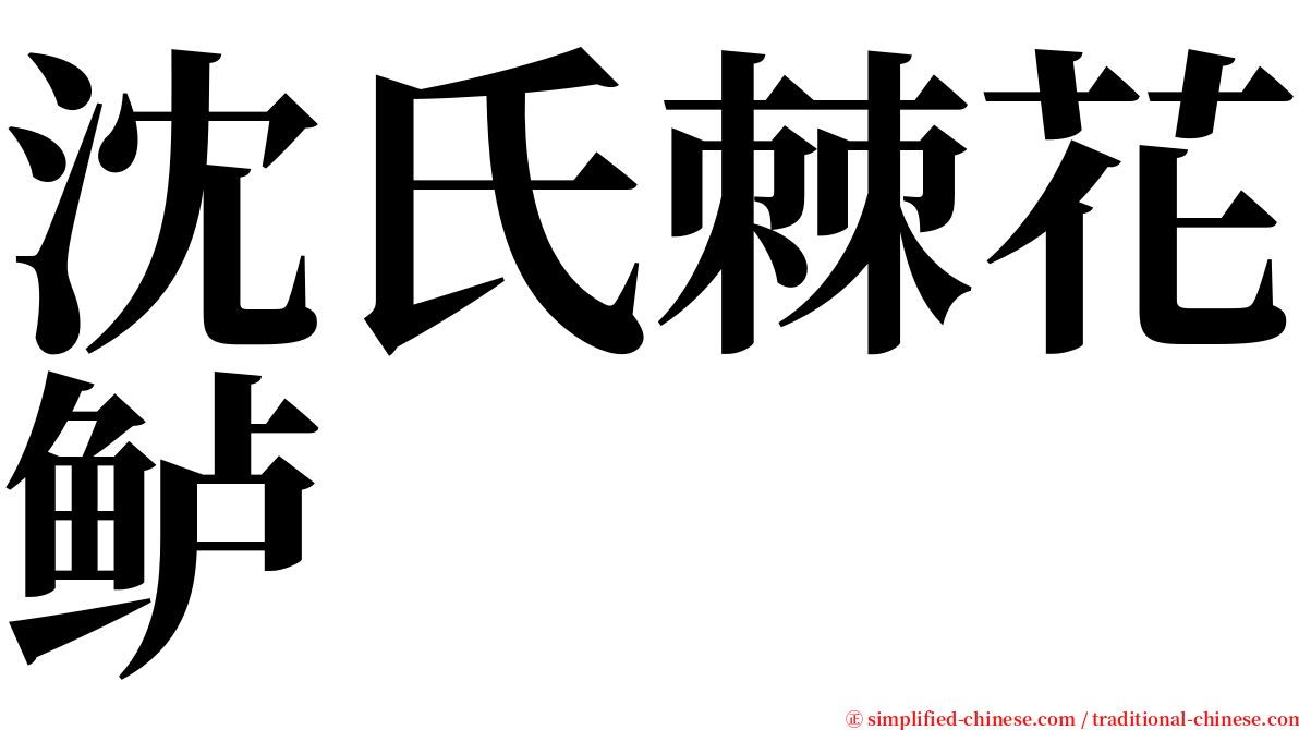 沈氏棘花鲈 serif font