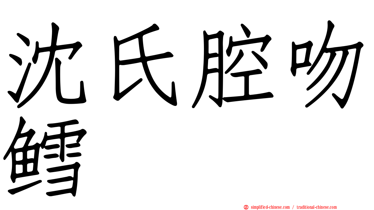 沈氏腔吻鳕