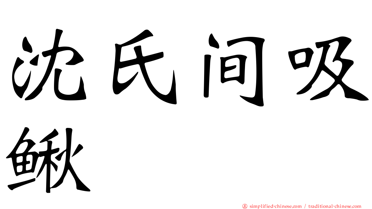 沈氏间吸鳅
