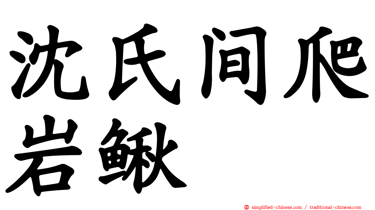 沈氏间爬岩鳅