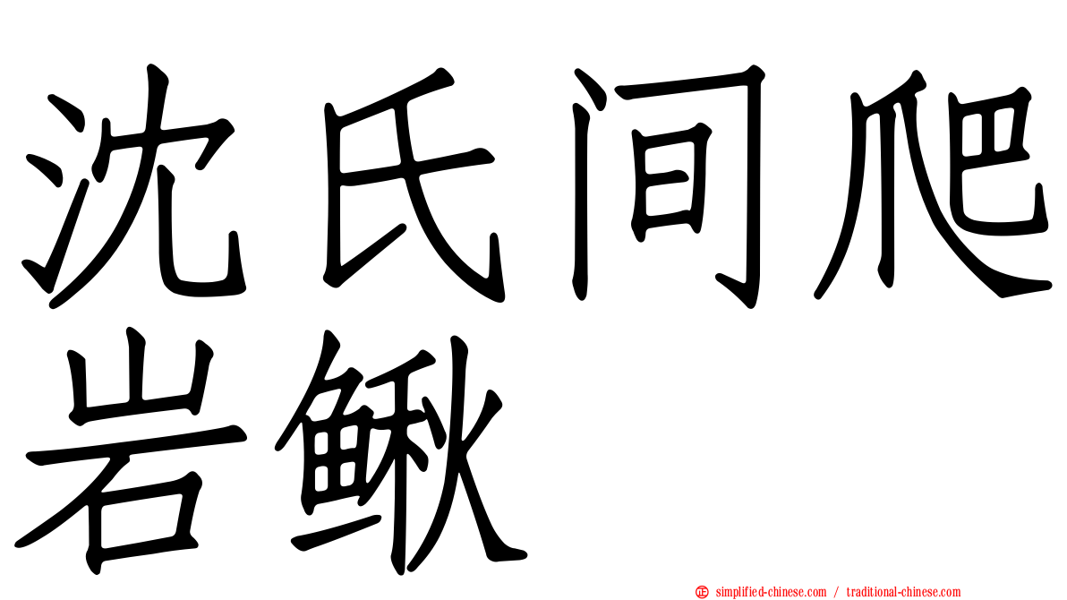 沈氏间爬岩鳅