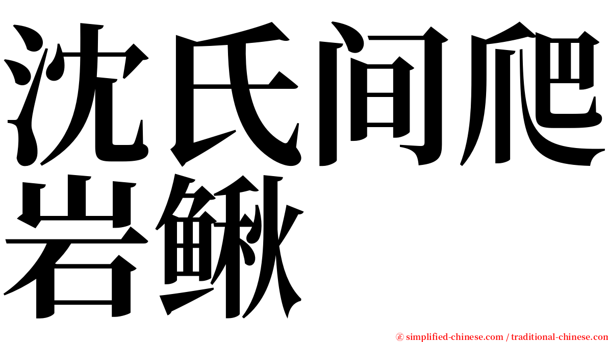 沈氏间爬岩鳅 serif font