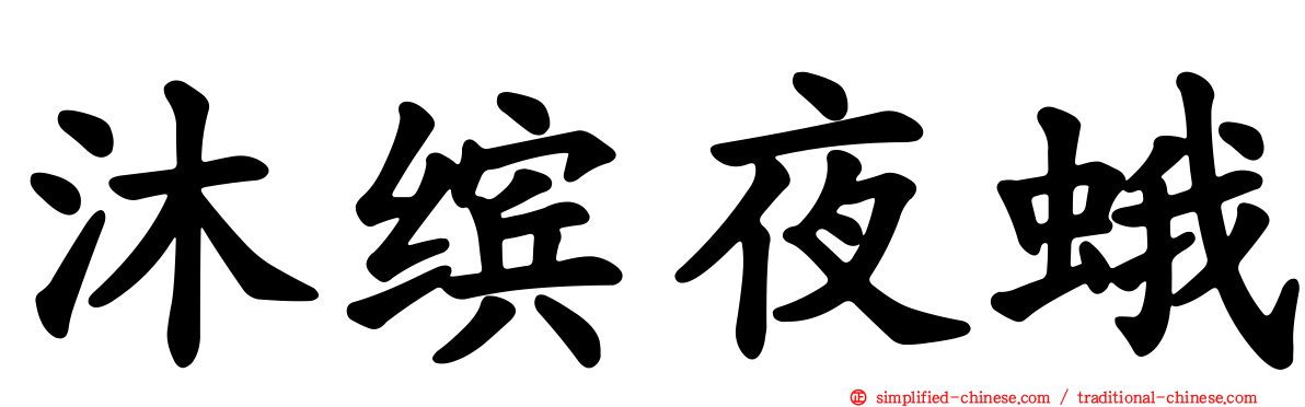 沐缤夜蛾