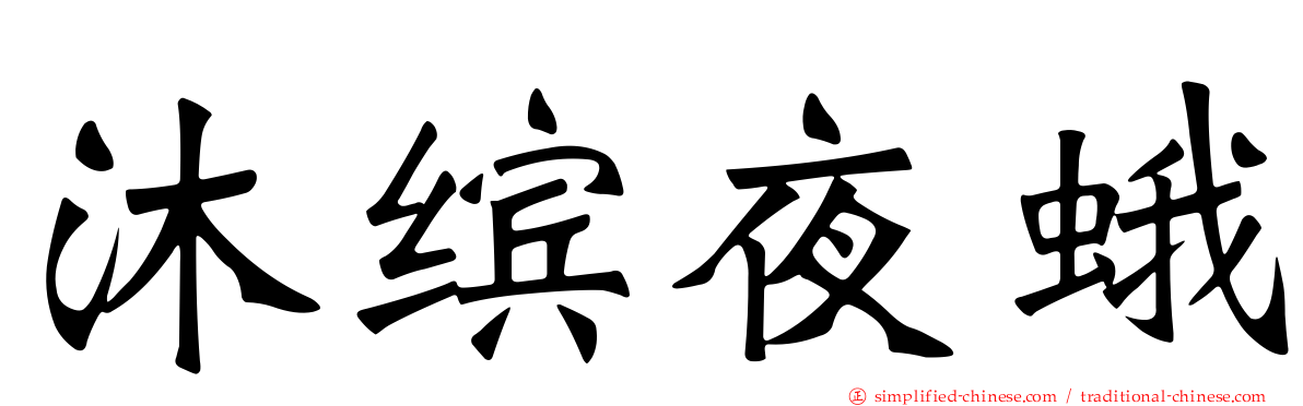 沐缤夜蛾