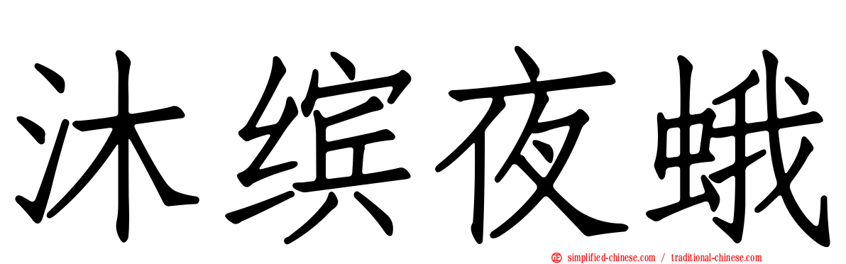 沐缤夜蛾