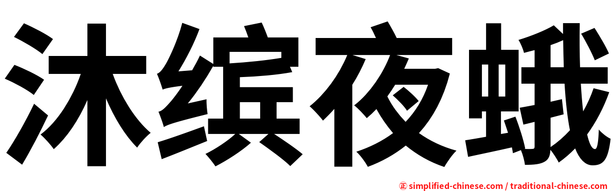 沐缤夜蛾