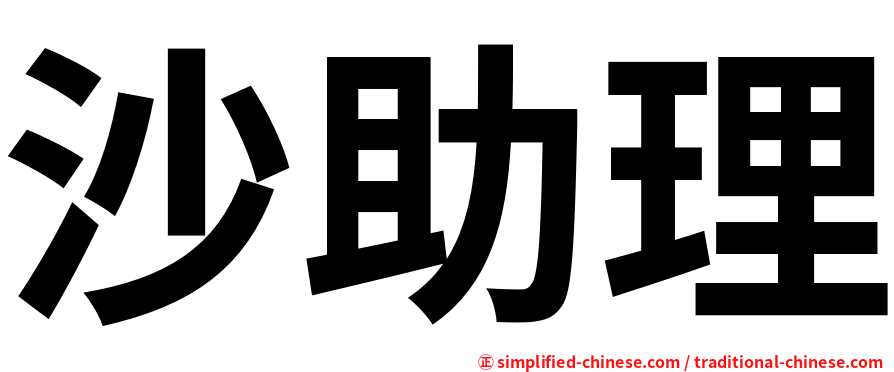 沙助理
