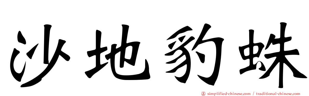 沙地豹蛛