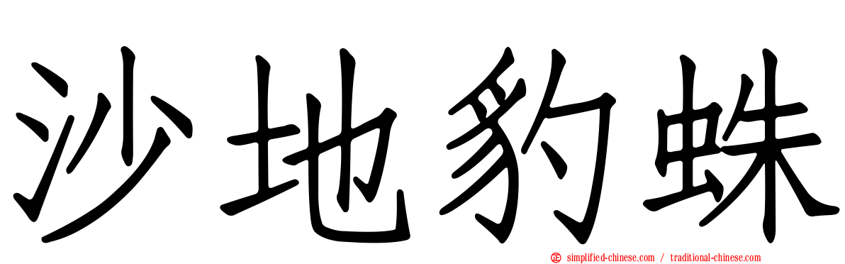 沙地豹蛛