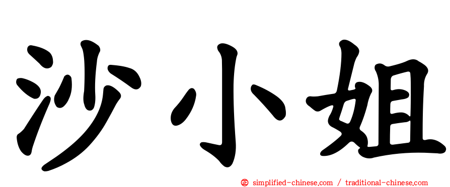 沙小姐