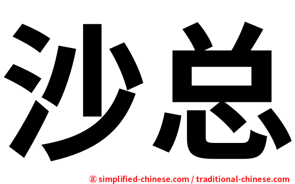 沙总