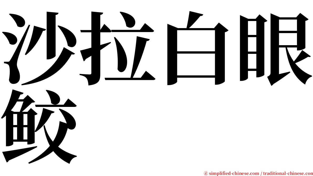 沙拉白眼鲛 serif font