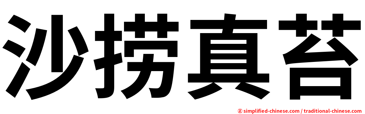 沙捞真苔