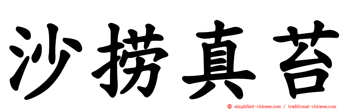 沙捞真苔