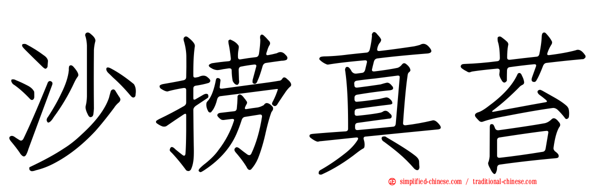 沙捞真苔