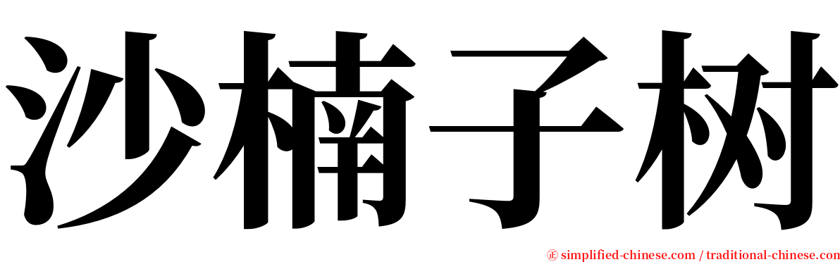 沙楠子树 serif font