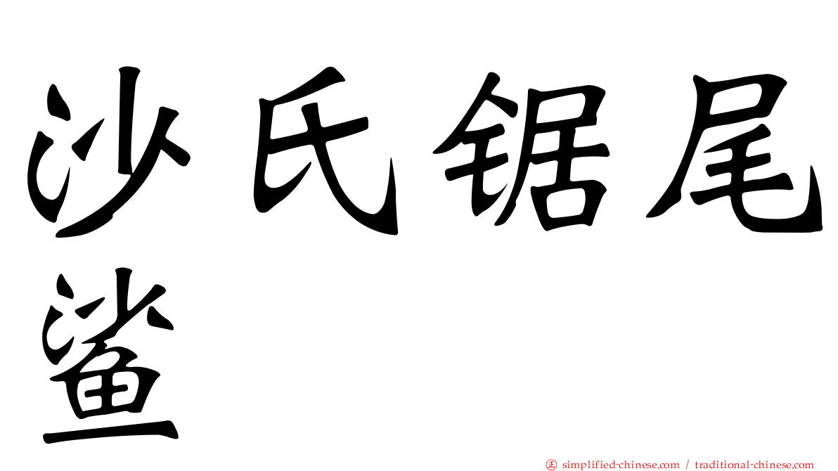 沙氏锯尾鲨