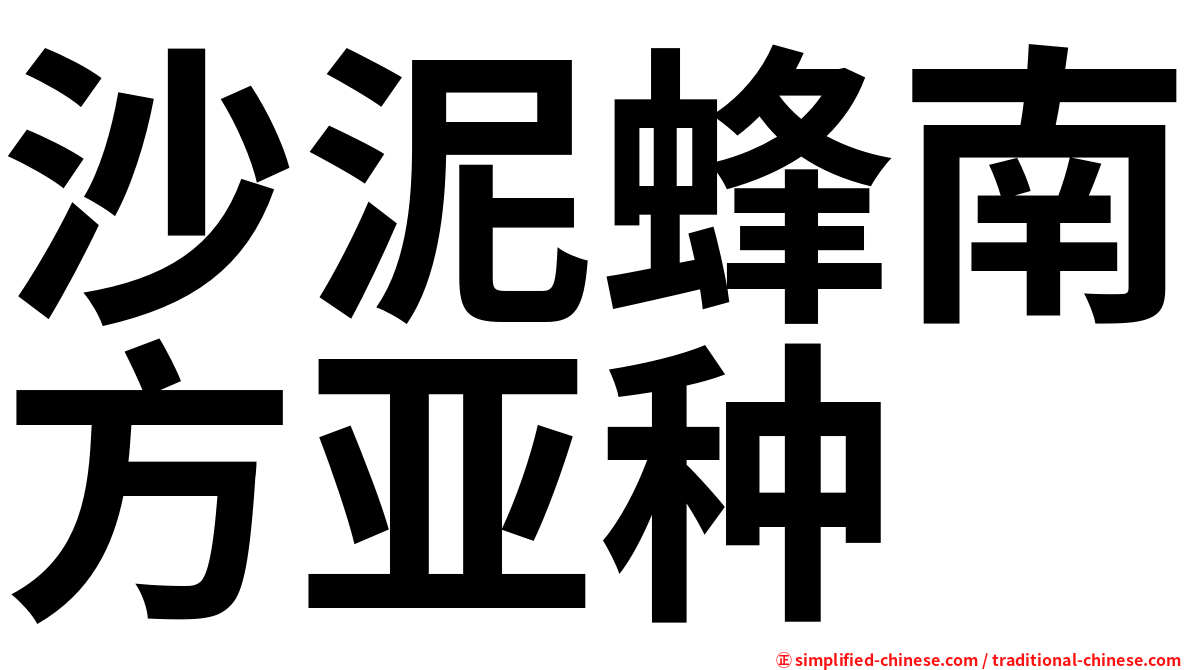 沙泥蜂南方亚种