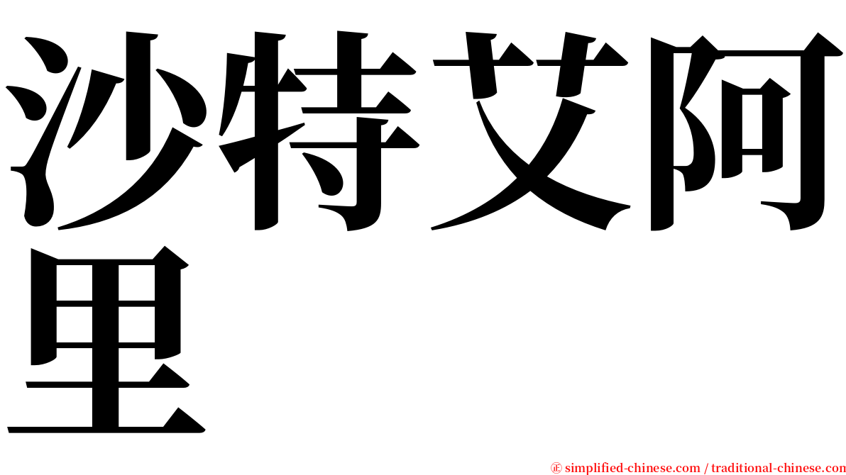 沙特艾阿里 serif font