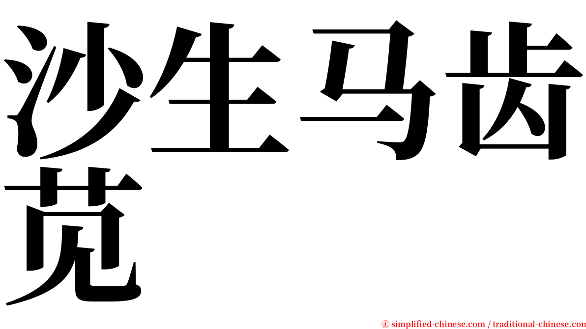 沙生马齿苋 serif font