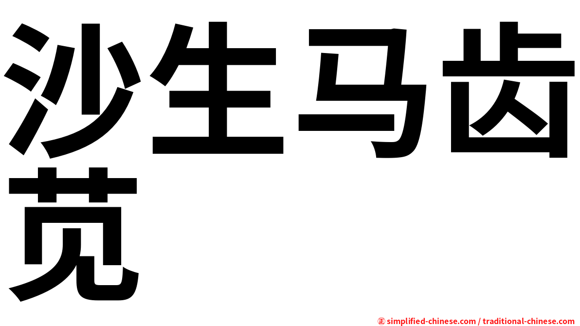 沙生马齿苋
