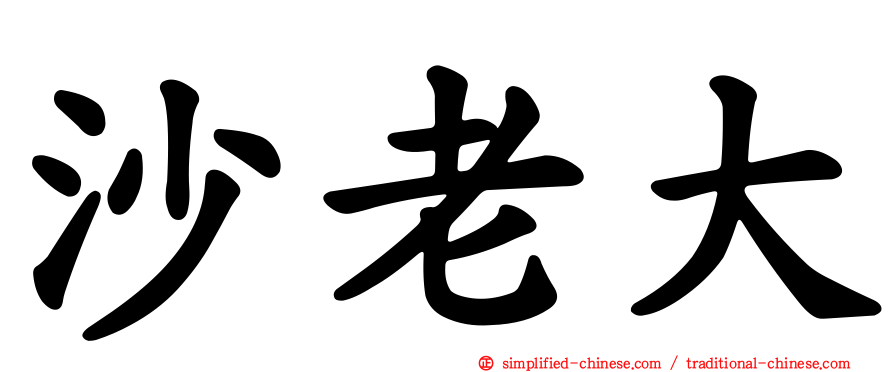 沙老大