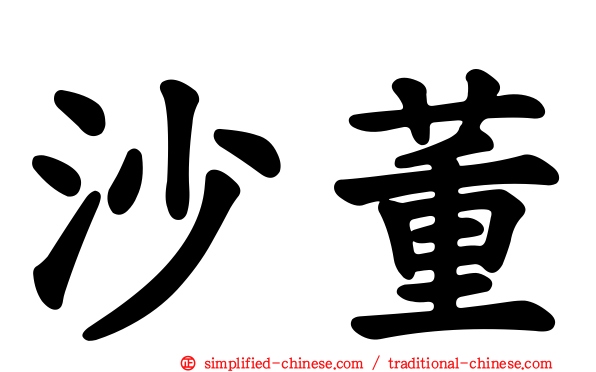 沙董
