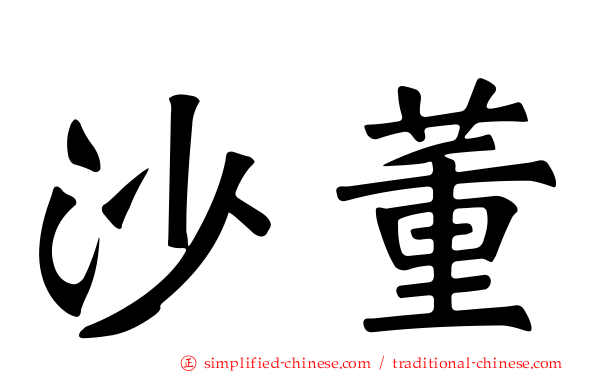 沙董