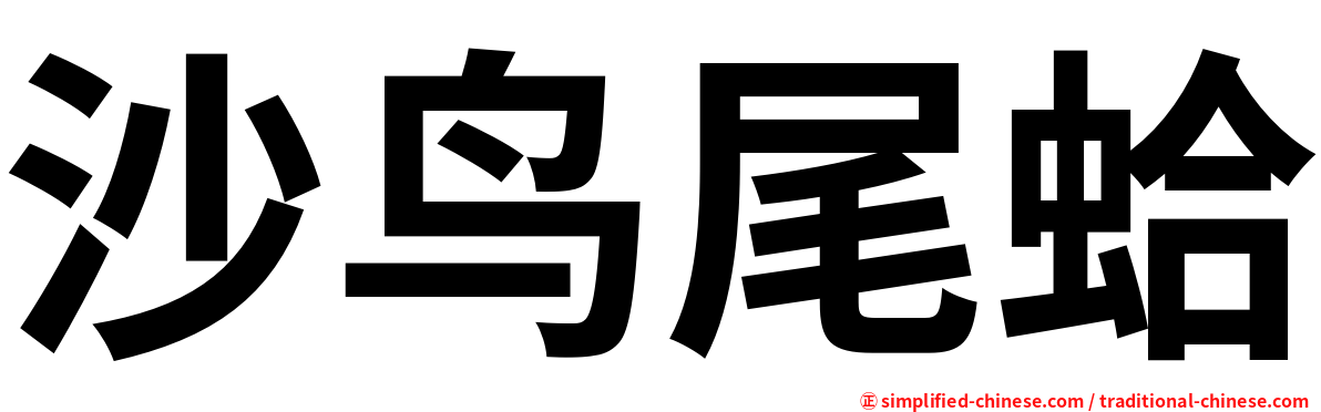沙鸟尾蛤