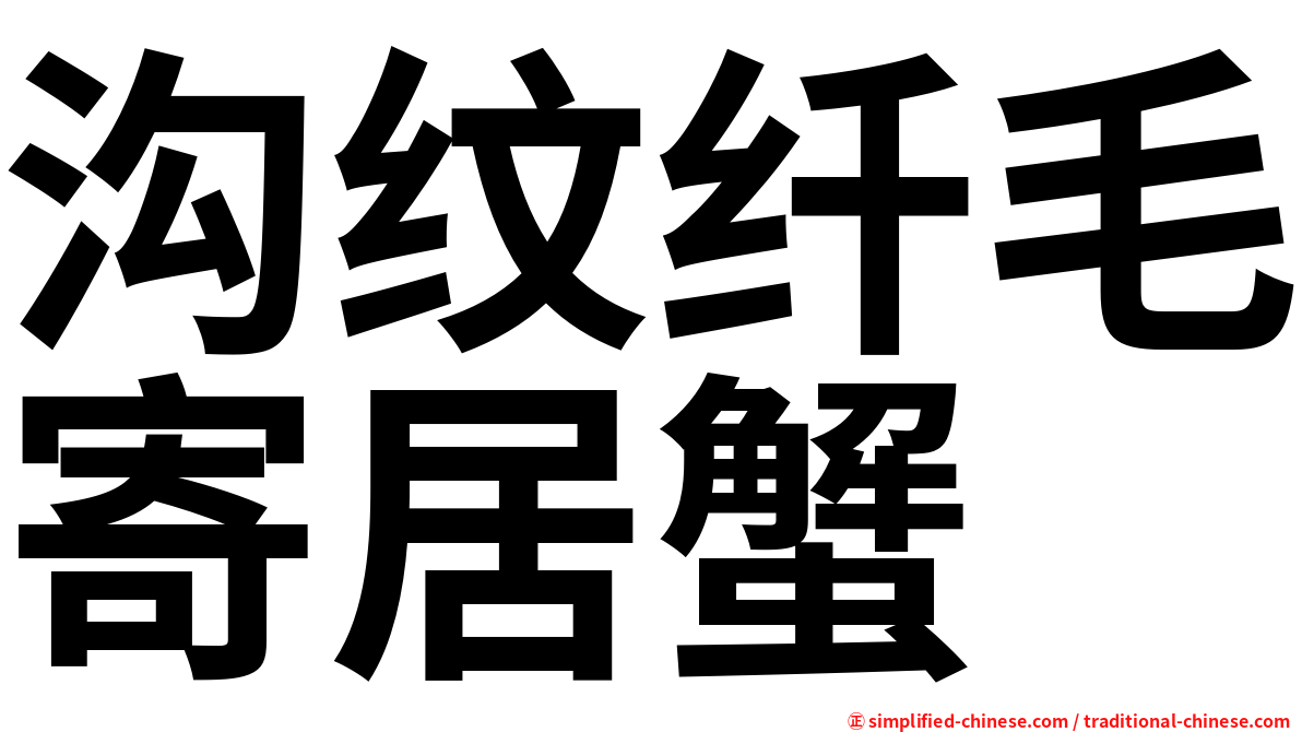 沟纹纤毛寄居蟹