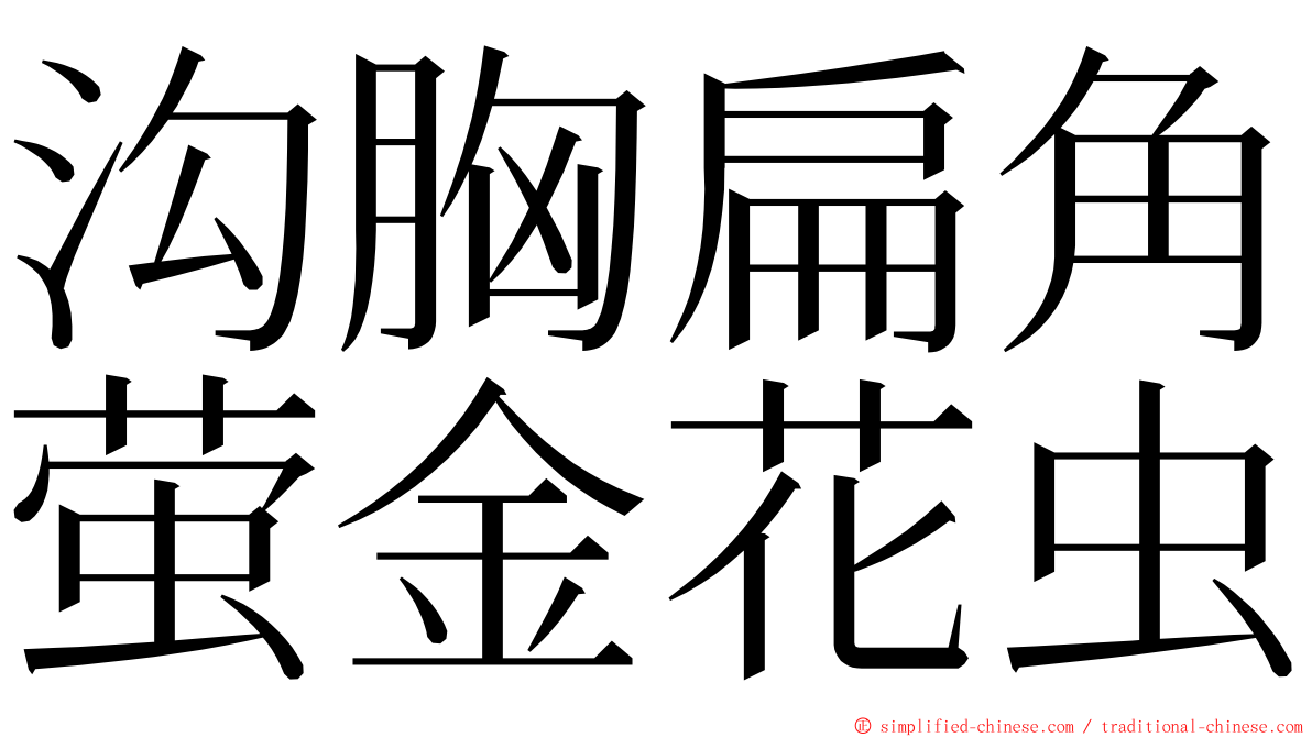 沟胸扁角萤金花虫 ming font