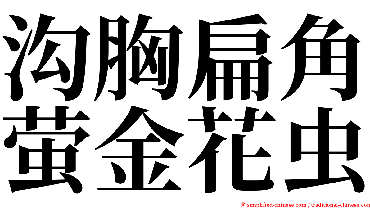 沟胸扁角萤金花虫 serif font