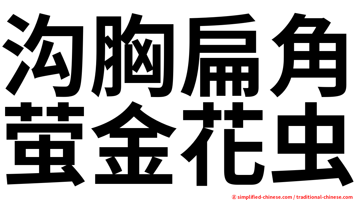 沟胸扁角萤金花虫