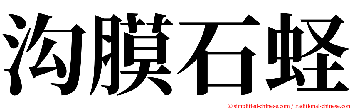 沟膜石蛏 serif font