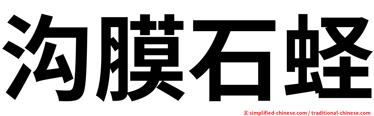 沟膜石蛏