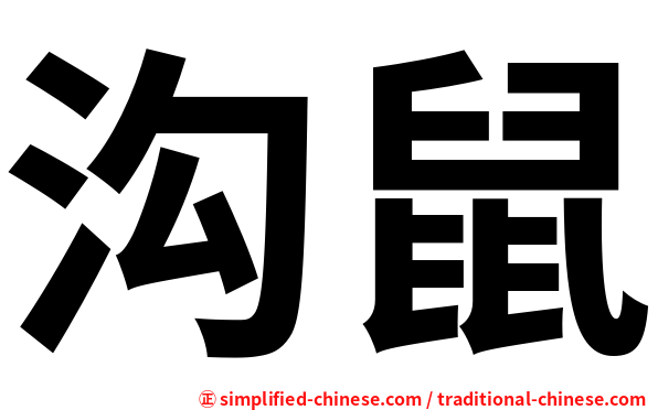沟鼠