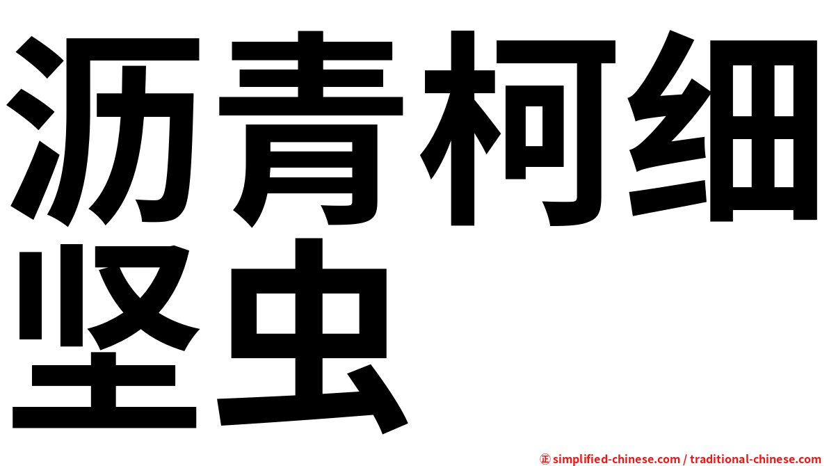 沥青柯细坚虫