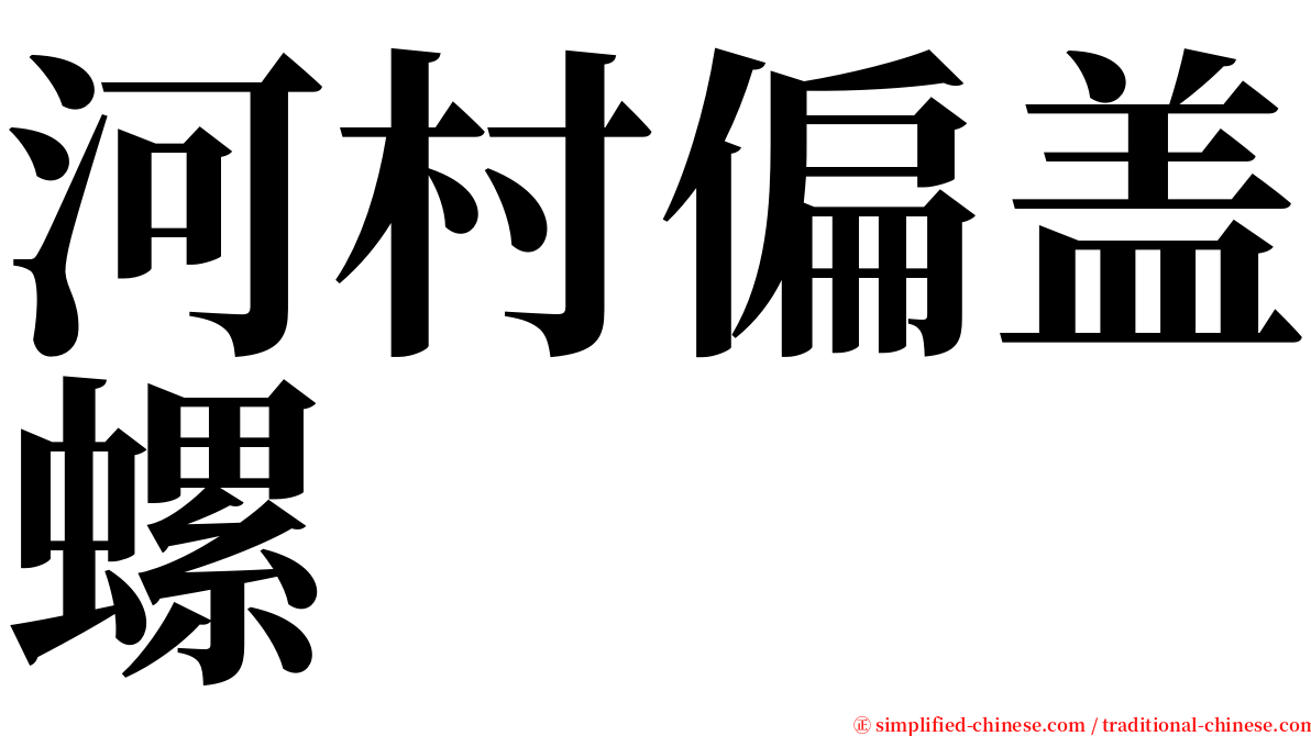 河村偏盖螺 serif font