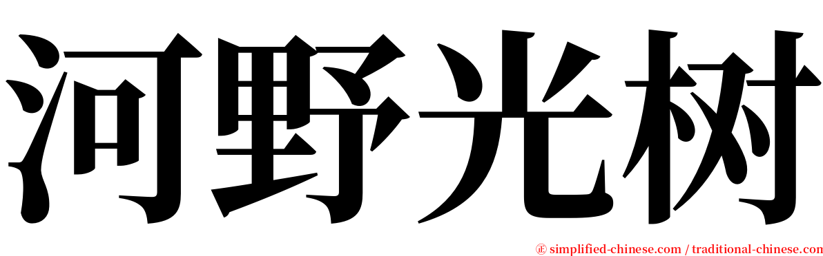 河野光树 serif font