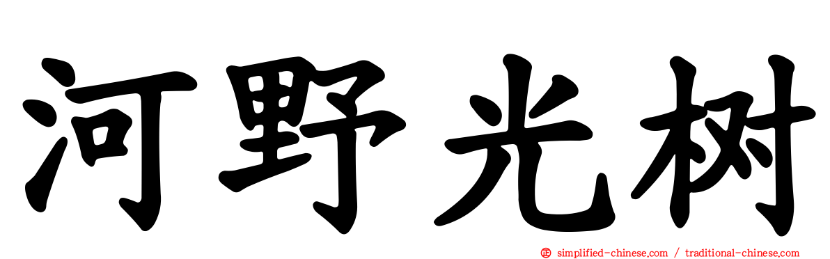 河野光树