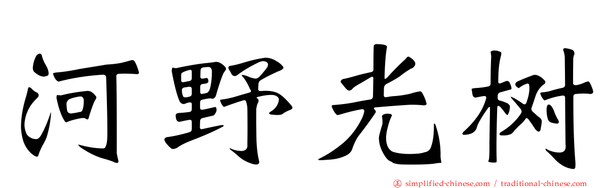 河野光树