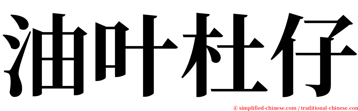油叶杜仔 serif font