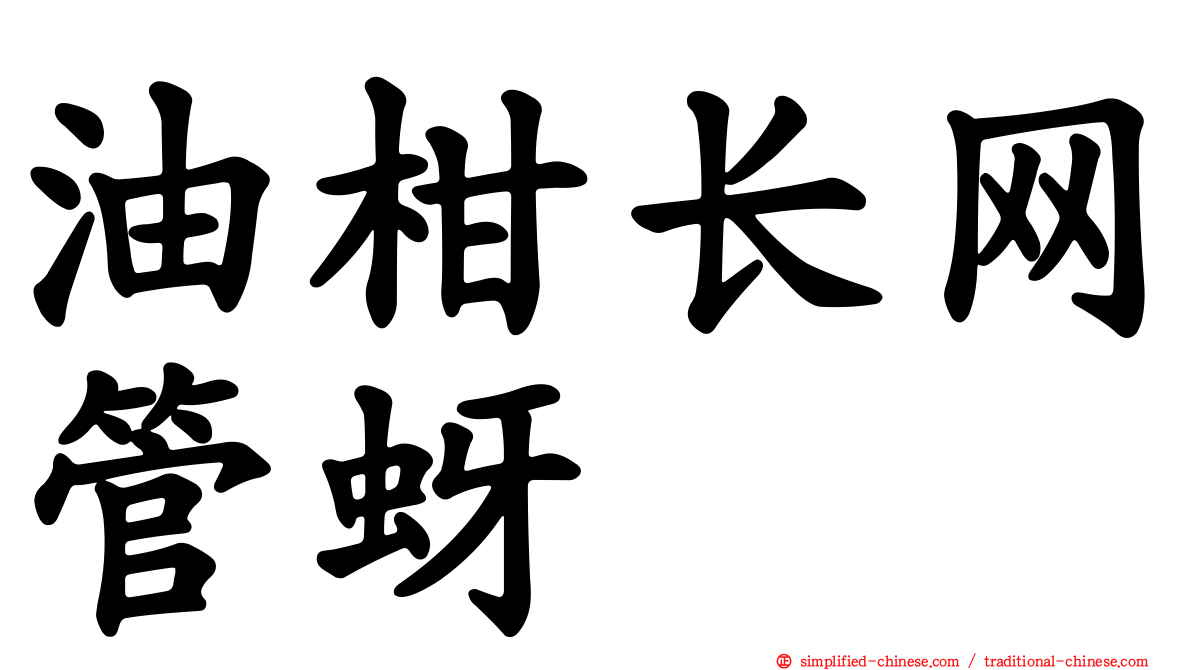 油柑长网管蚜