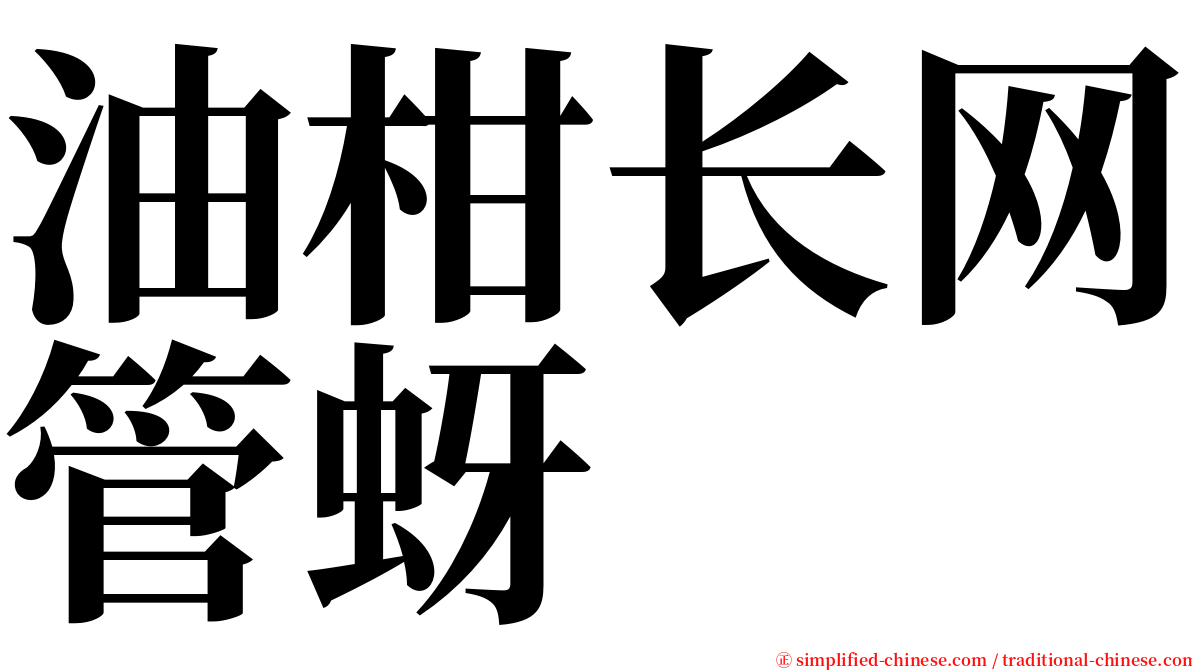油柑长网管蚜 serif font